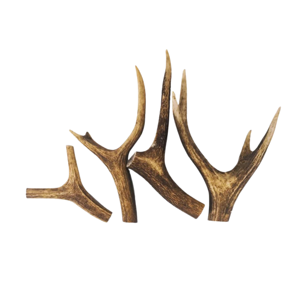 Antler